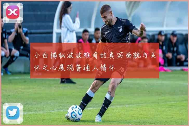 小白揭秘波波维奇的真实面貌与关怀之心展现普通人情怀